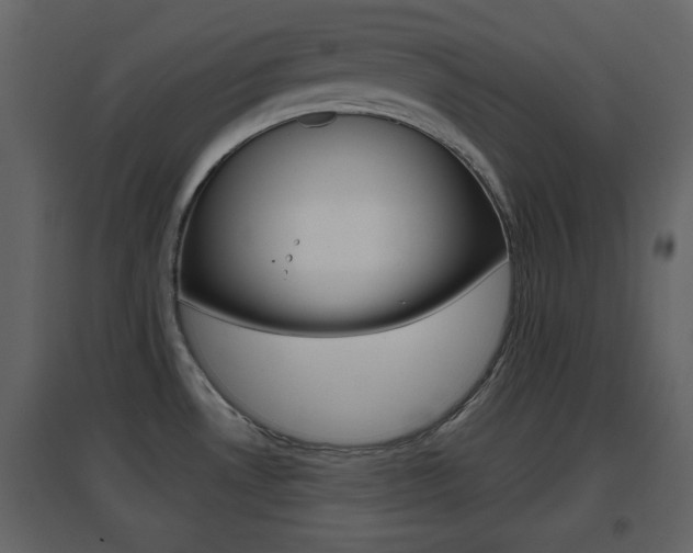 X0000096691530200802051025
