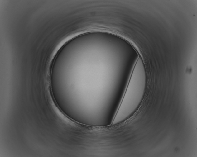 X0000096691531200802051025