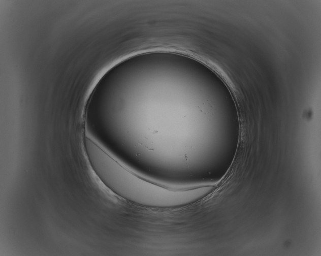 X0000096691532200802051025