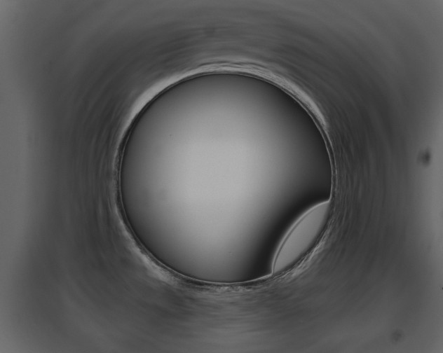 X0000096691533200802051025
