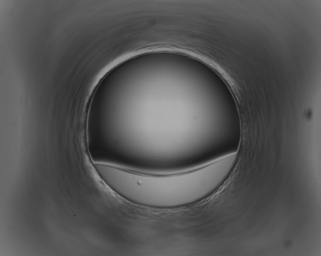 X0000096691534200802051025