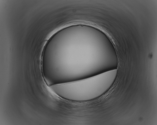 X0000096691535200802051025