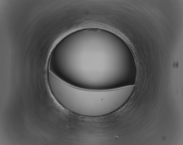X0000096691536200802051025