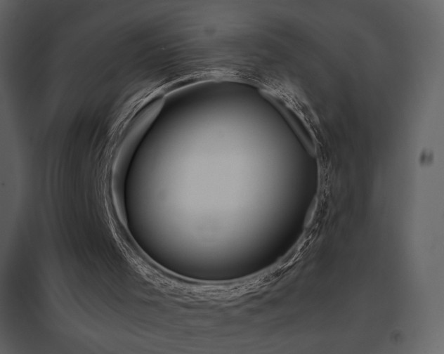 X0000096690001200802051358