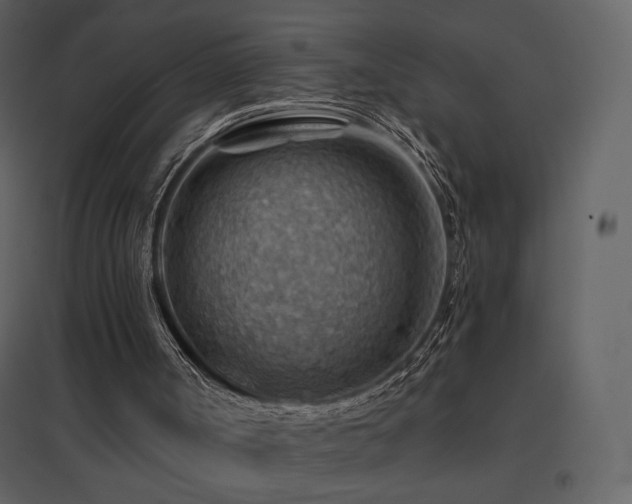 X0000096690002200802051358