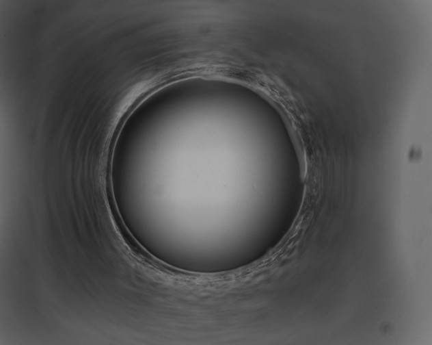 X0000096690003200802051358