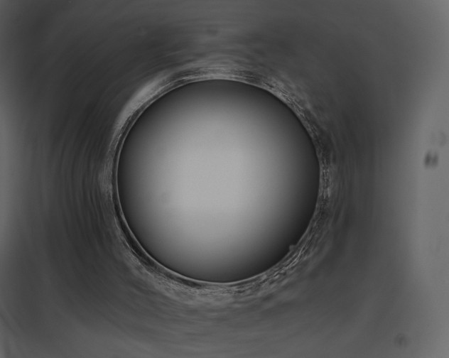 X0000096690004200802051358