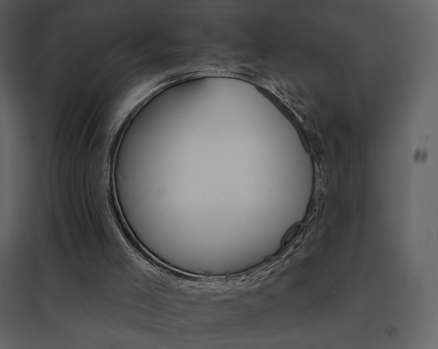 X0000096690005200802051358