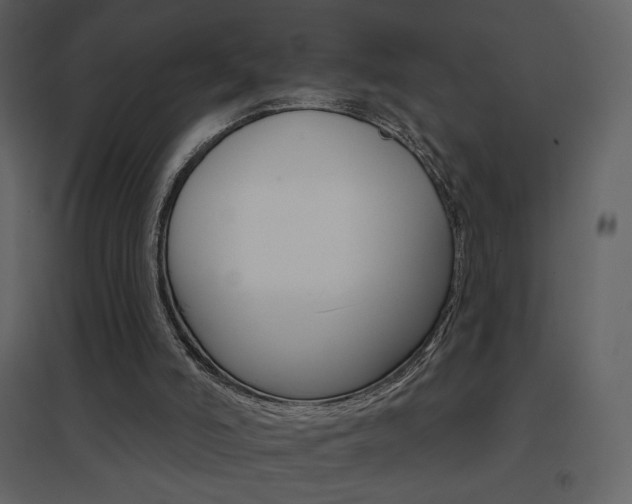 X0000096690006200802051358