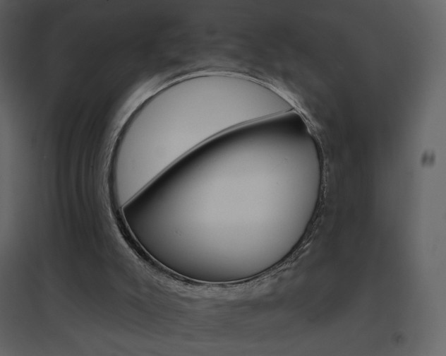 X0000096690007200802051358