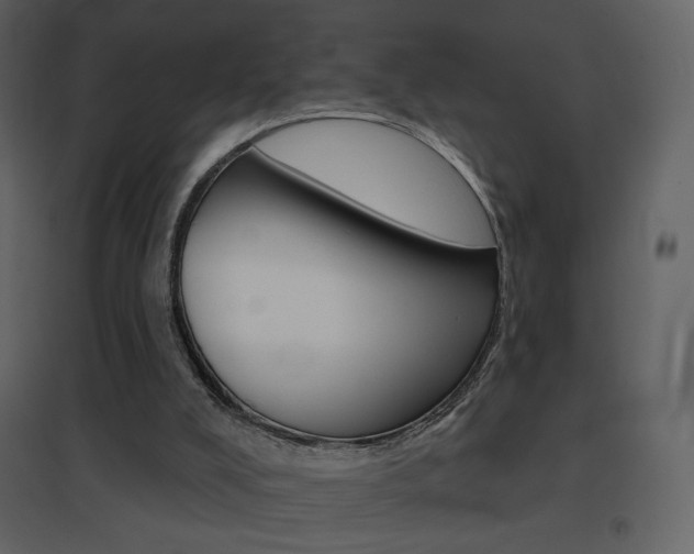 X0000096690008200802051358