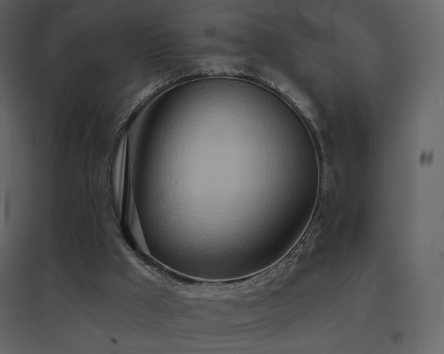 X0000096690009200802051358