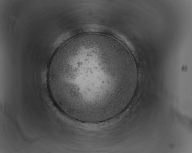 X0000096690010200802051358