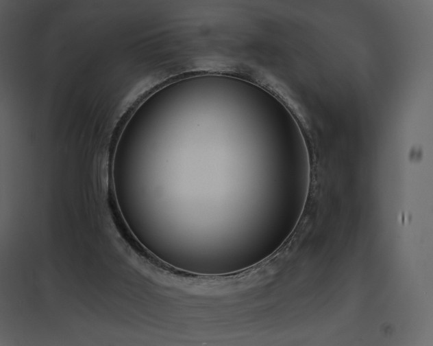 X0000096690011200802051358