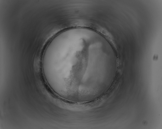 X0000096690012200802051358