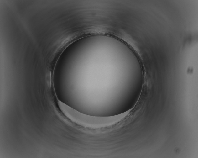 X0000096690013200802051358