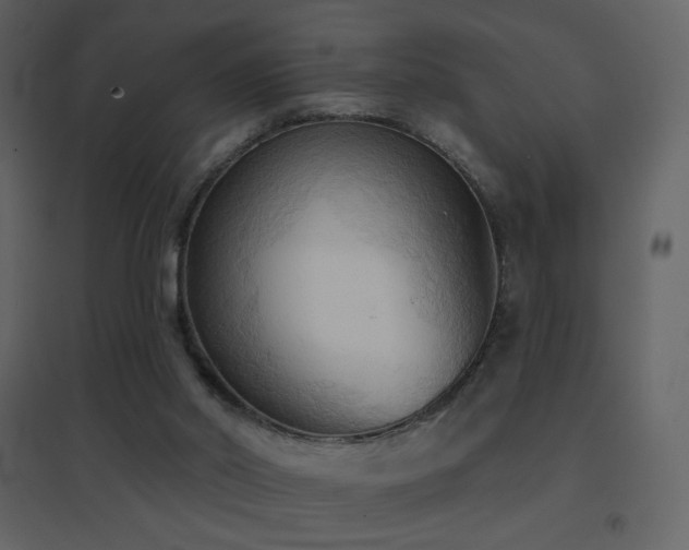 X0000096690014200802051358