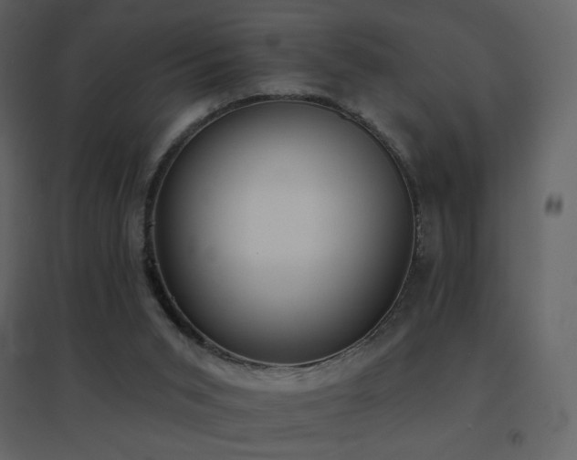 X0000096690015200802051358