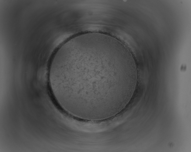 X0000096690016200802051358