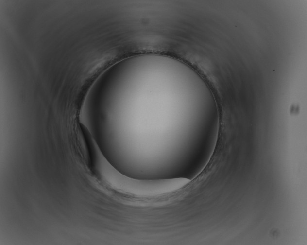 X0000096690017200802051358