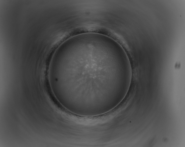 X0000096690018200802051358