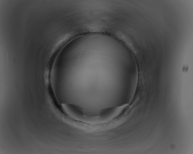 X0000096690019200802051358