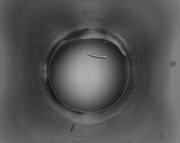 X0000096690020200802051358