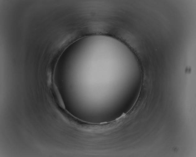 X0000096690021200802051357