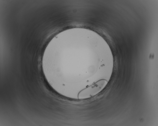 X0000096690024200802051357