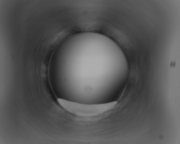 X0000096690025200802051357