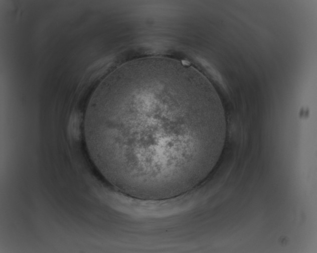 X0000096690026200802051357