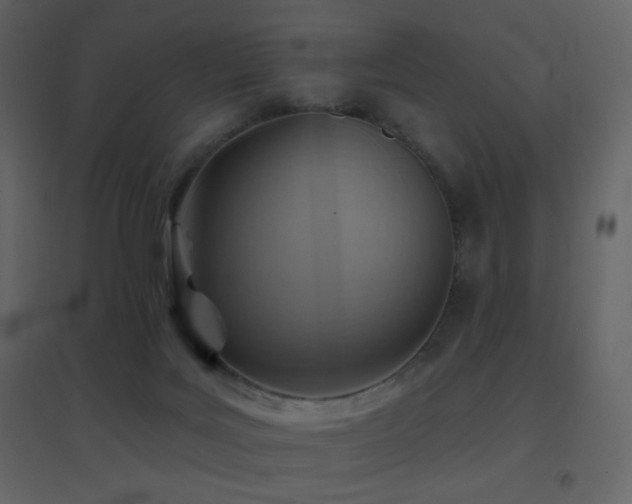 X0000096690027200802051357