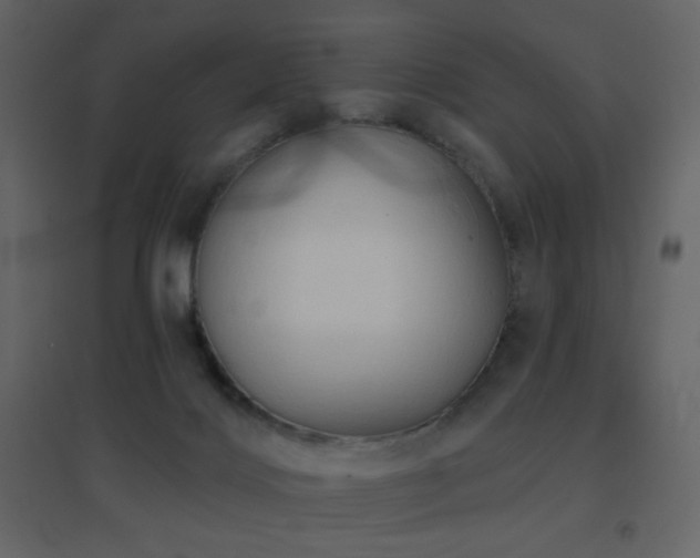 X0000096690028200802051357