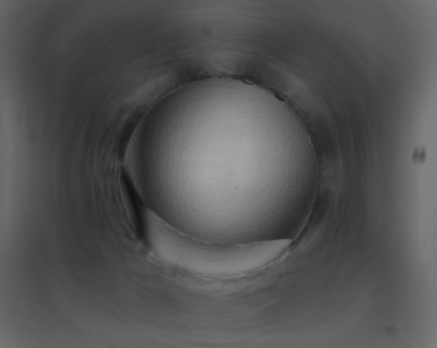 X0000096690029200802051357