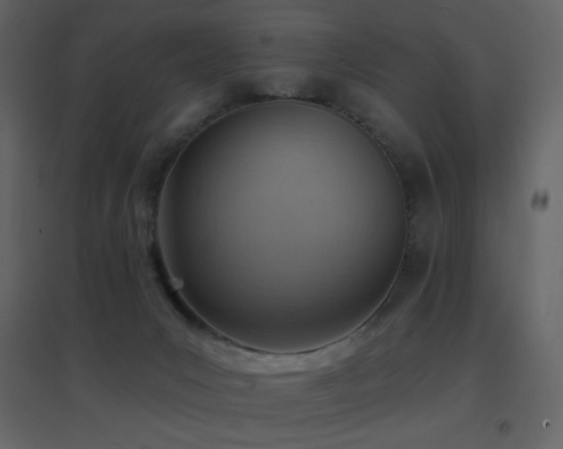 X0000096690031200802051357