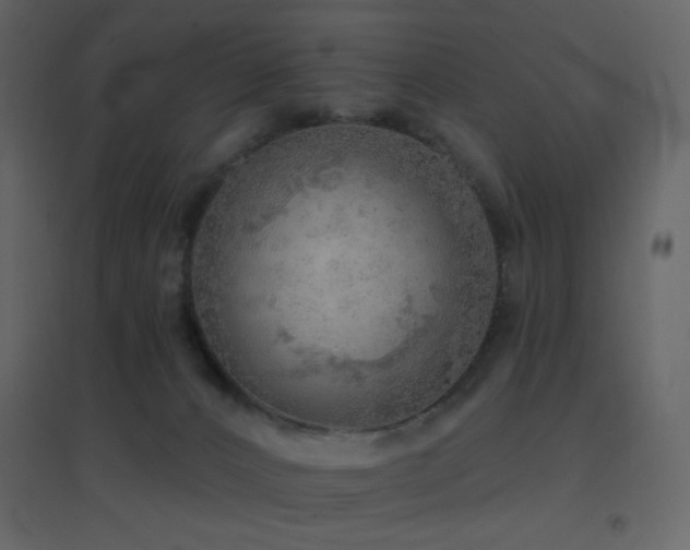 X0000096690032200802051357