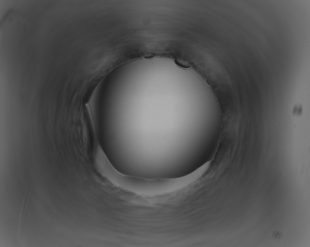 X0000096690033200802051357