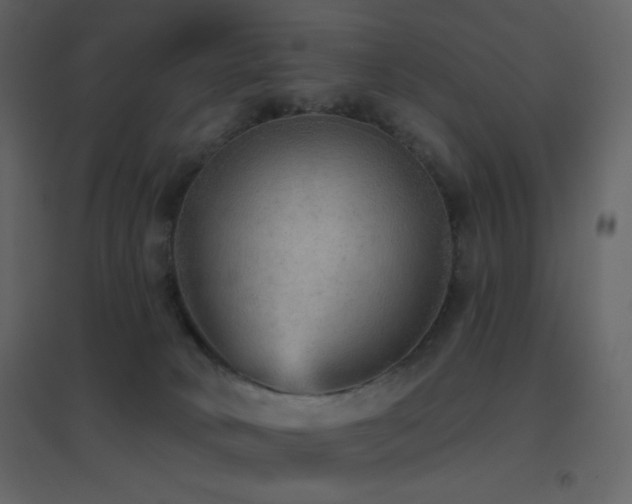 X0000096690034200802051357