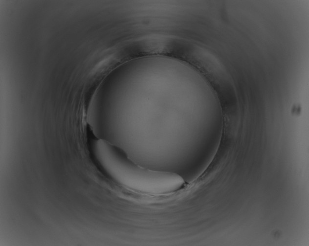 X0000096690035200802051357