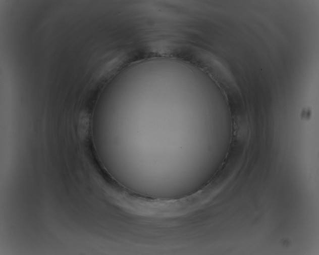 X0000096690036200802051357