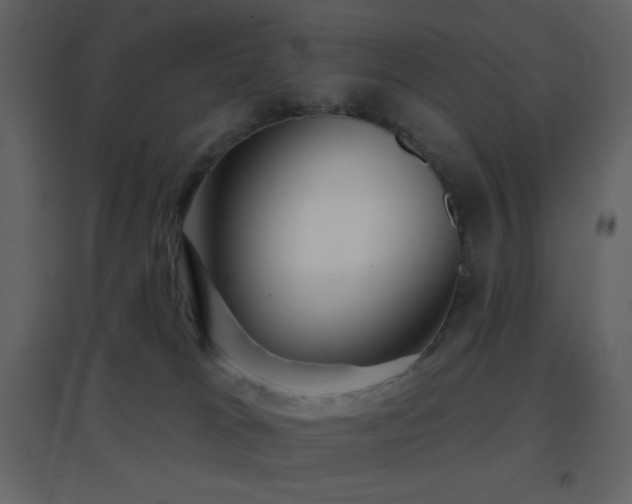 X0000096690037200802051357