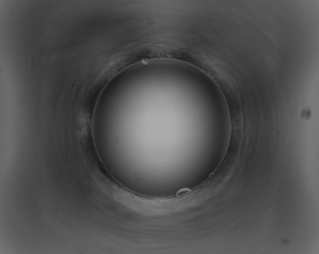 X0000096690038200802051357