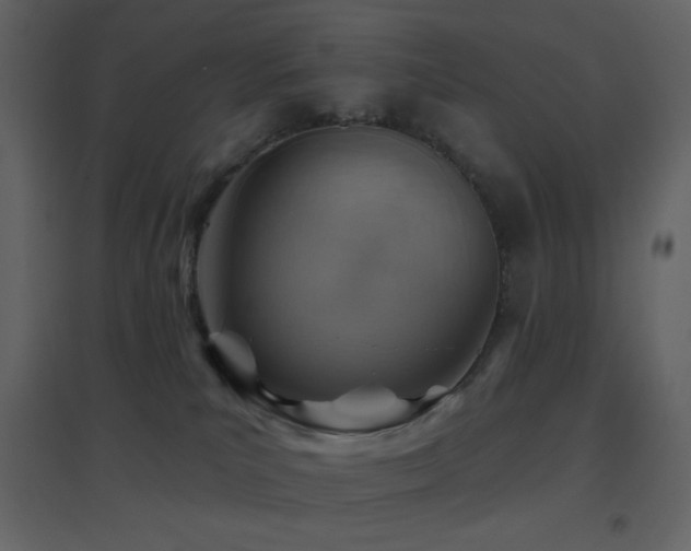 X0000096690039200802051357