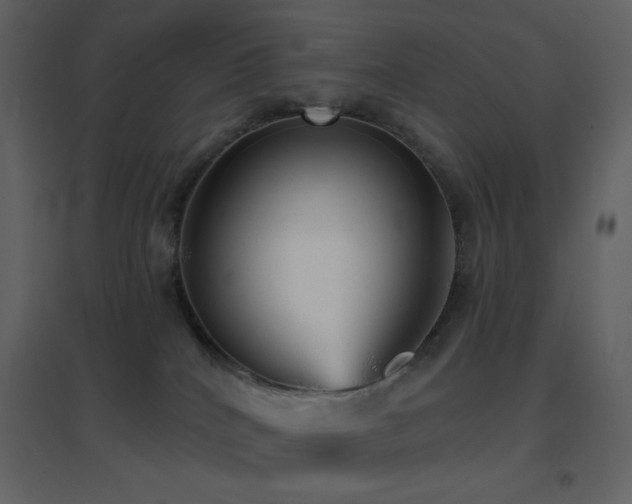 X0000096690040200802051357