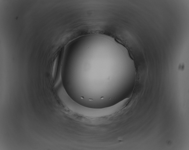 X0000096690041200802051357