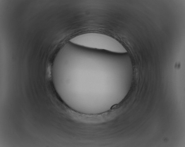 X0000096690042200802051357