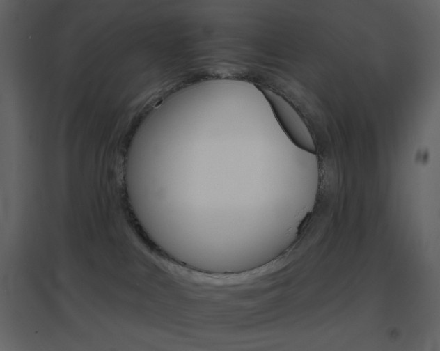 X0000096690043200802051357