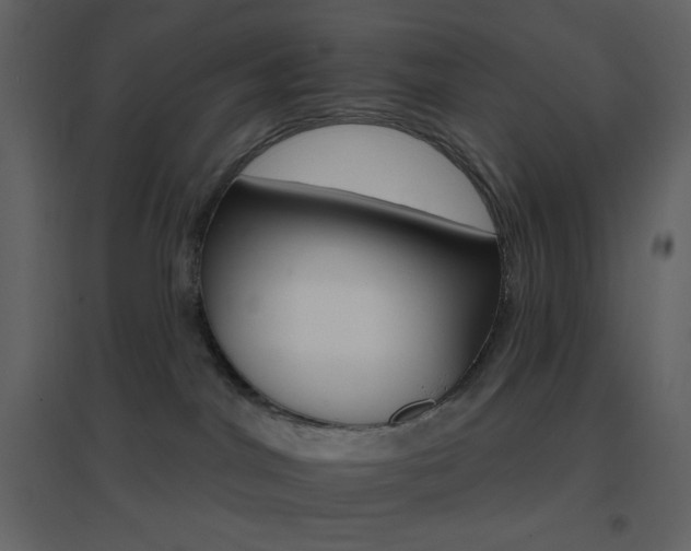 X0000096690044200802051357