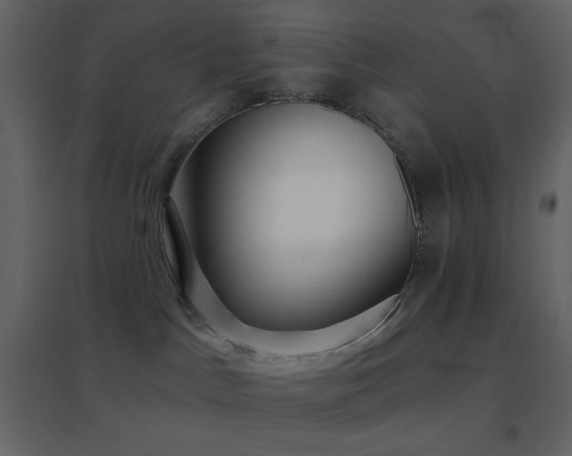 X0000096690045200802051357