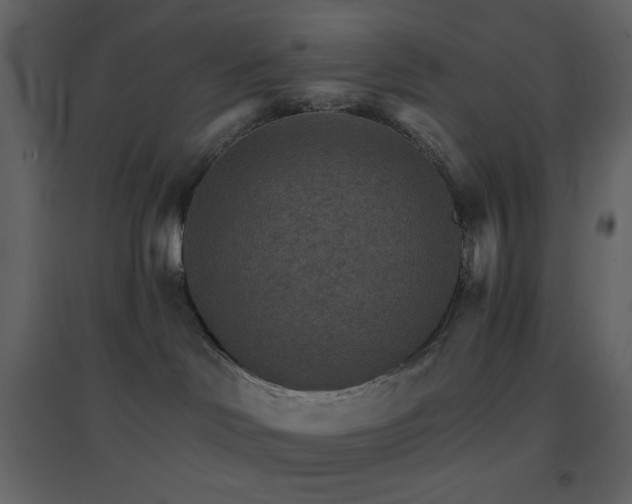 X0000096690046200802051357